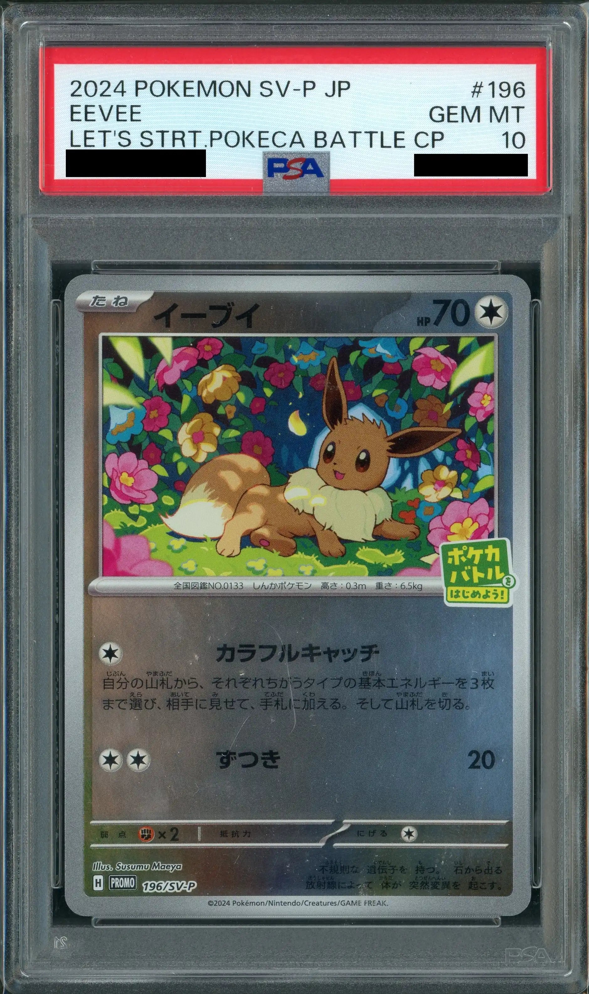 全てのアイテム PSA10】イーブイ(PROMO){無}〈196/SV-P〉[SV-P] – 晴れる屋2 ポケモンカードゲーム