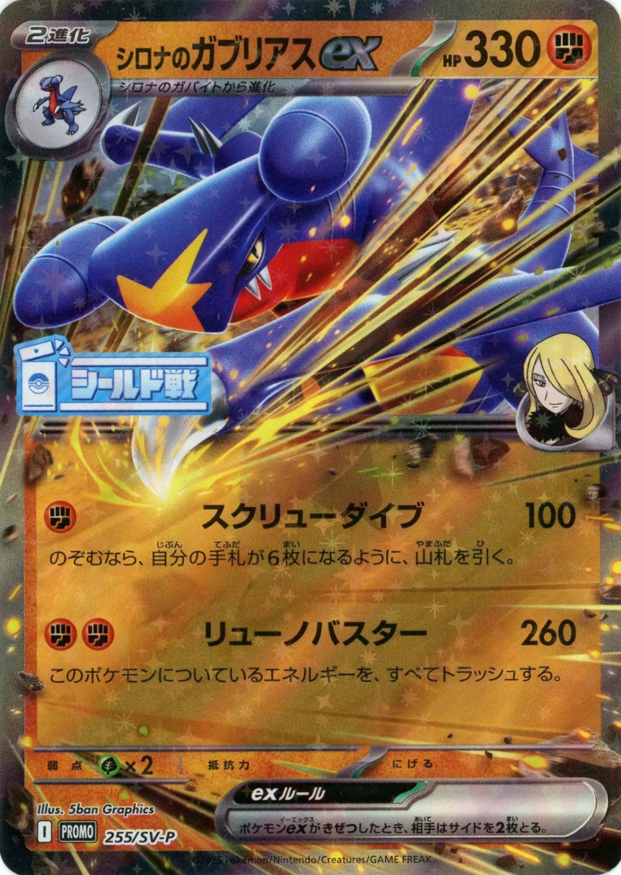 ガブリアス v csr psa10 シロナ 25th ポケモンカード プロモ ガブリアス v csr psa10 シロナ 25th ポケモンカード プロモ