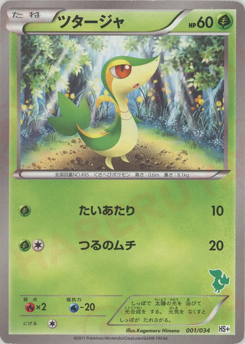 K00253_P_TSUTAJA_1.webp?v=