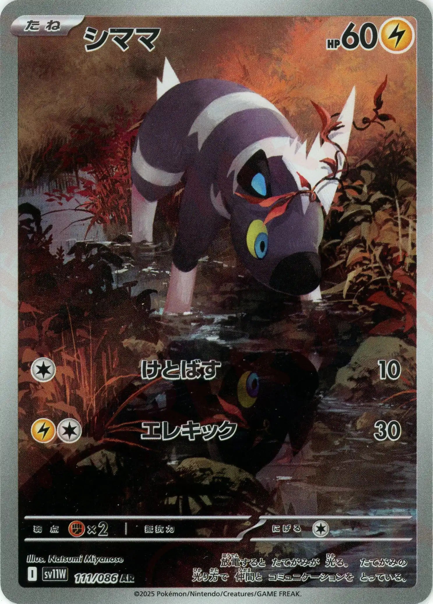 ポケモンカード AR 80枚 まとめ ポケカ 718 ポケモンカード AR 80枚 まとめ ポケカ 718