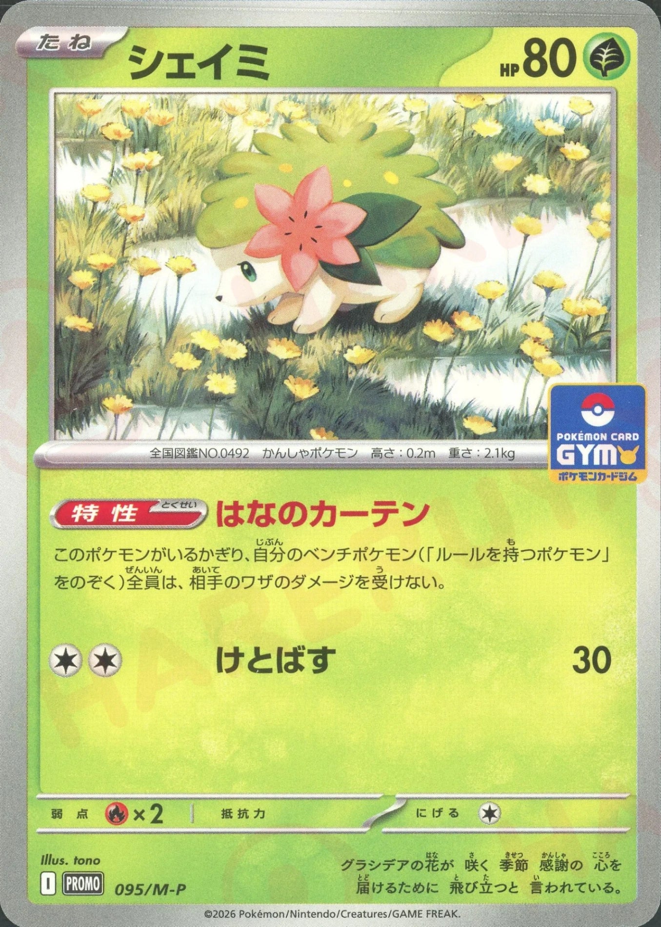 ポケモンカード DP DPt 訳あり まとめ売り シェイミ エンテイ など シェイミ(PROMO){草}〈095/M-P〉[M-P] – 晴れる屋2