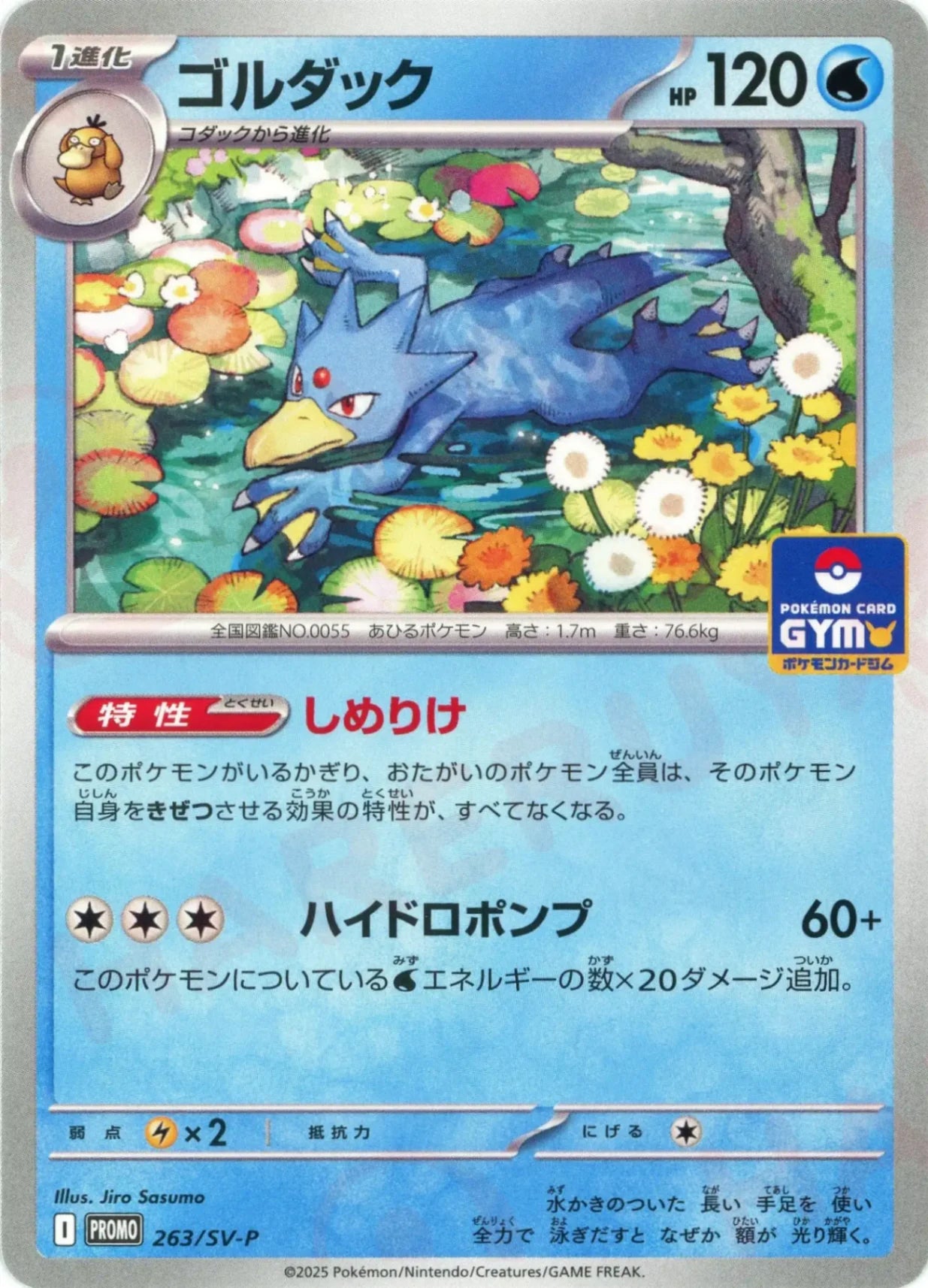 コダック ゴルダック 各4枚 プロモ ポケモンカード コダック コダック ゴルダック 各4枚 プロモ ポケモンカード コダック