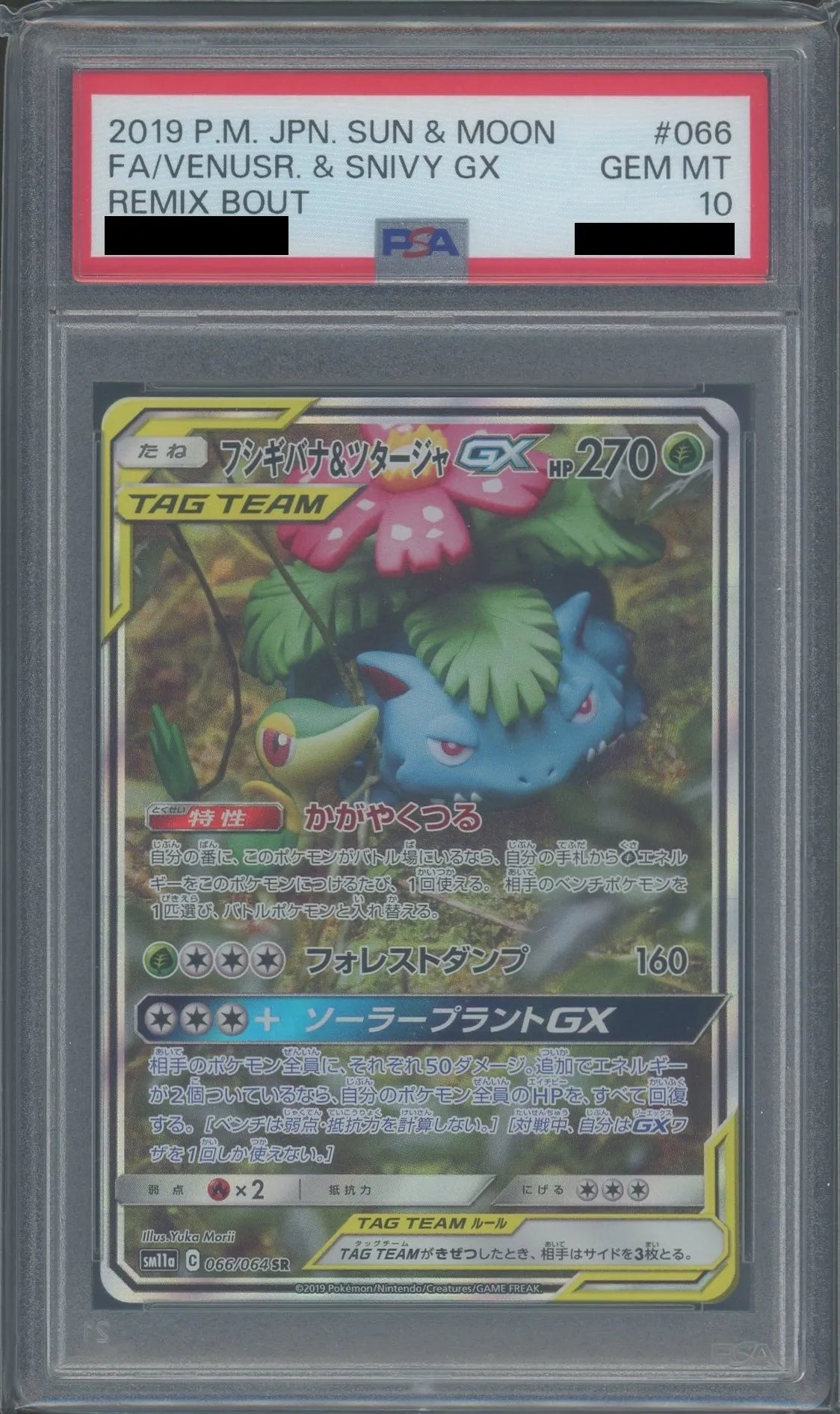 フシギバナ&ツタージャGX 10枚 PSA10】フシギバナ&ツタージャGX:SA(SR){草}〈066/064〉[SM11a