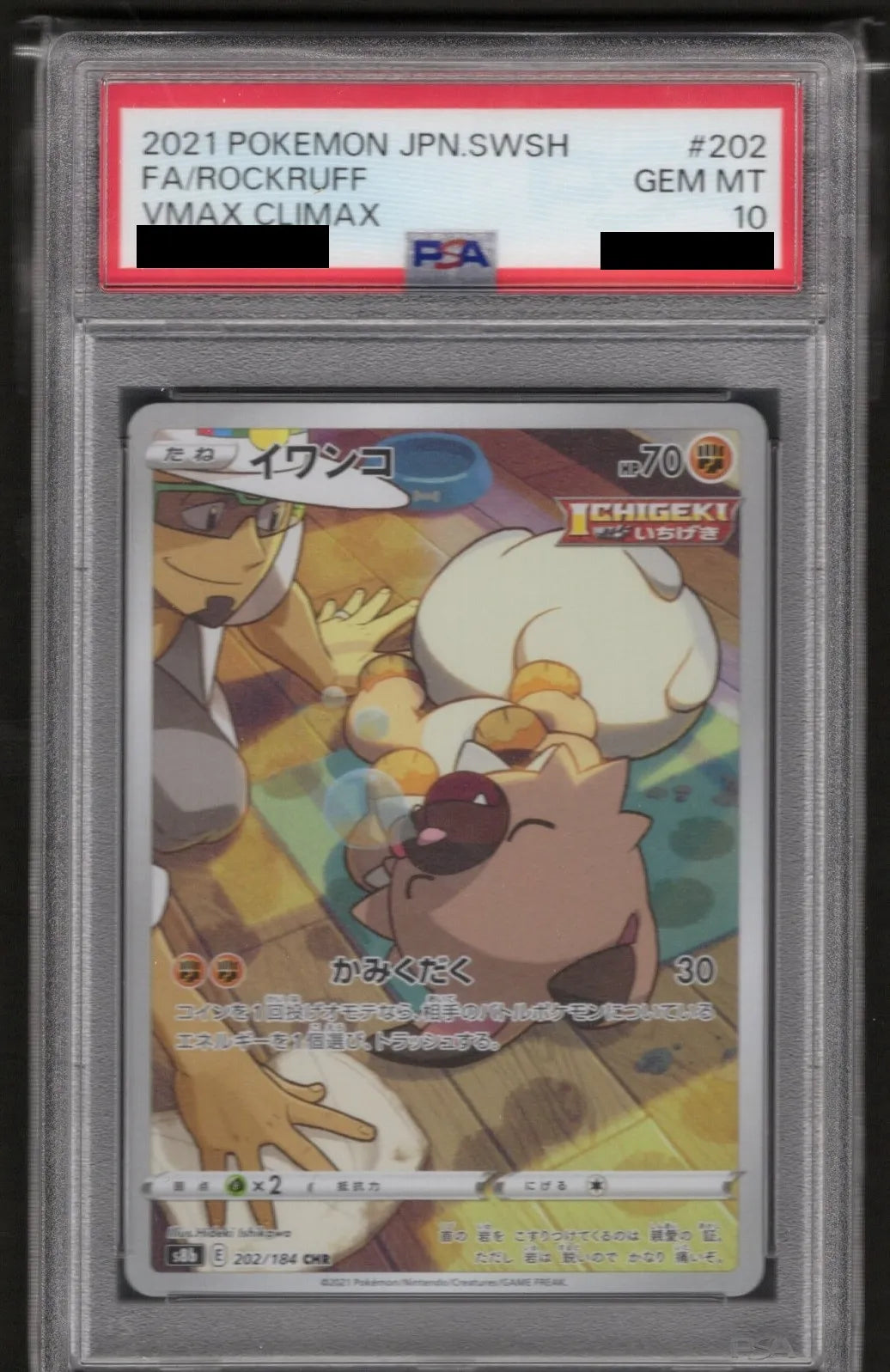 イワンコ　CHR PSA10 PSA10】イワンコ(CHR){闘}〈202/184〉[S8b] – 晴れる屋2