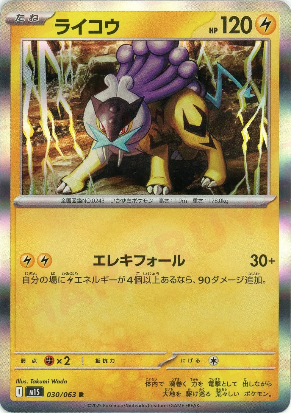 【最安値】ライコウ 039/088 カードe キラ PSA10】 ライコウ キラ ポケモンカードe 039/088 1st (Used