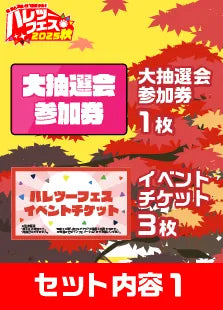 【ハレツーフェス2025秋】カジュアルパッケージ