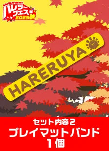 【ハレツーフェス2025秋】カジュアルパッケージ