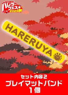 【ハレツーフェス2025秋】イベントチケットパッケージ