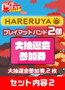 【ハレツーフェス2025秋】親子でポケカ!パッケージ