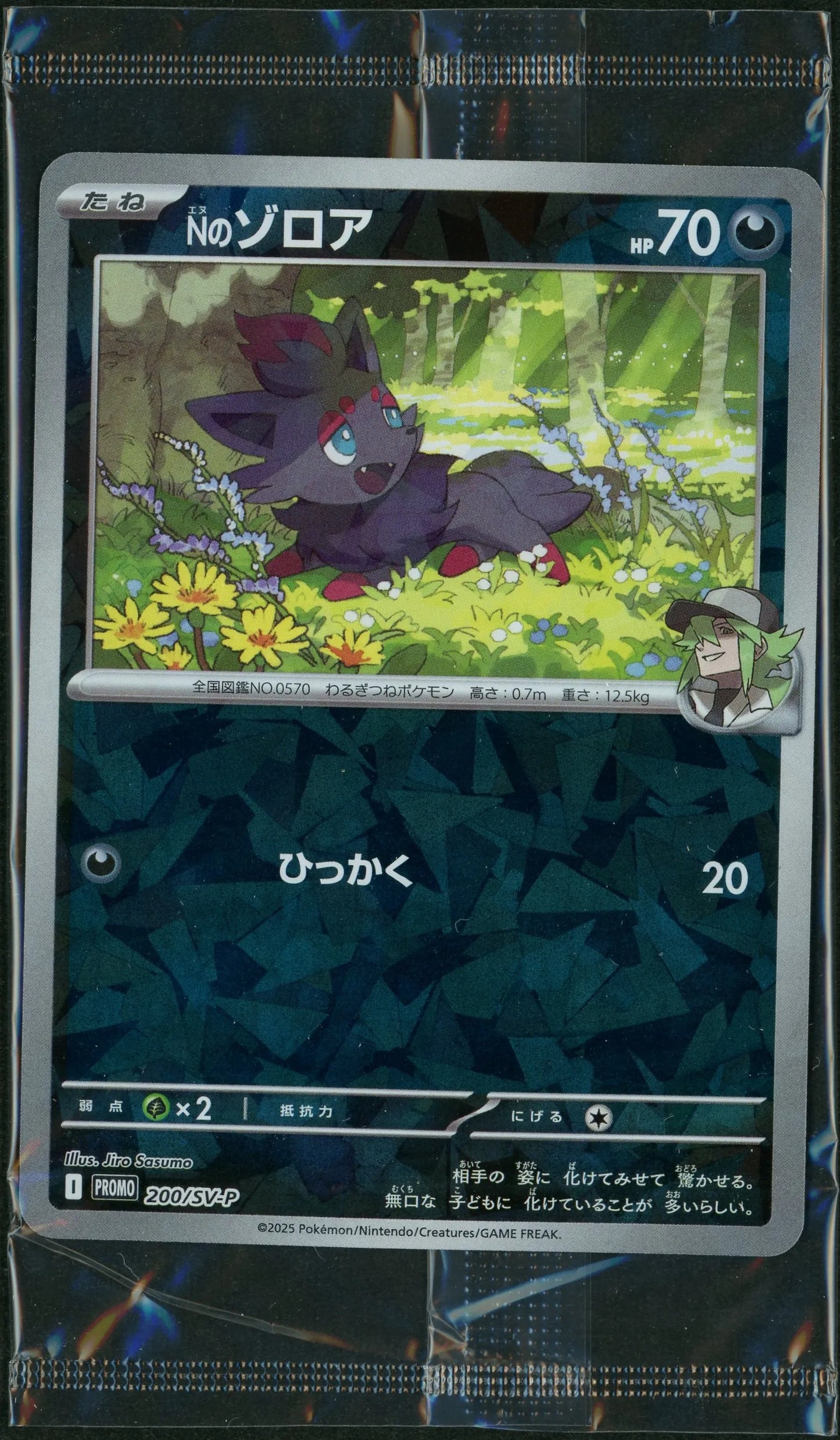 【未開封プロモ】Nのゾロア 200/SV-P