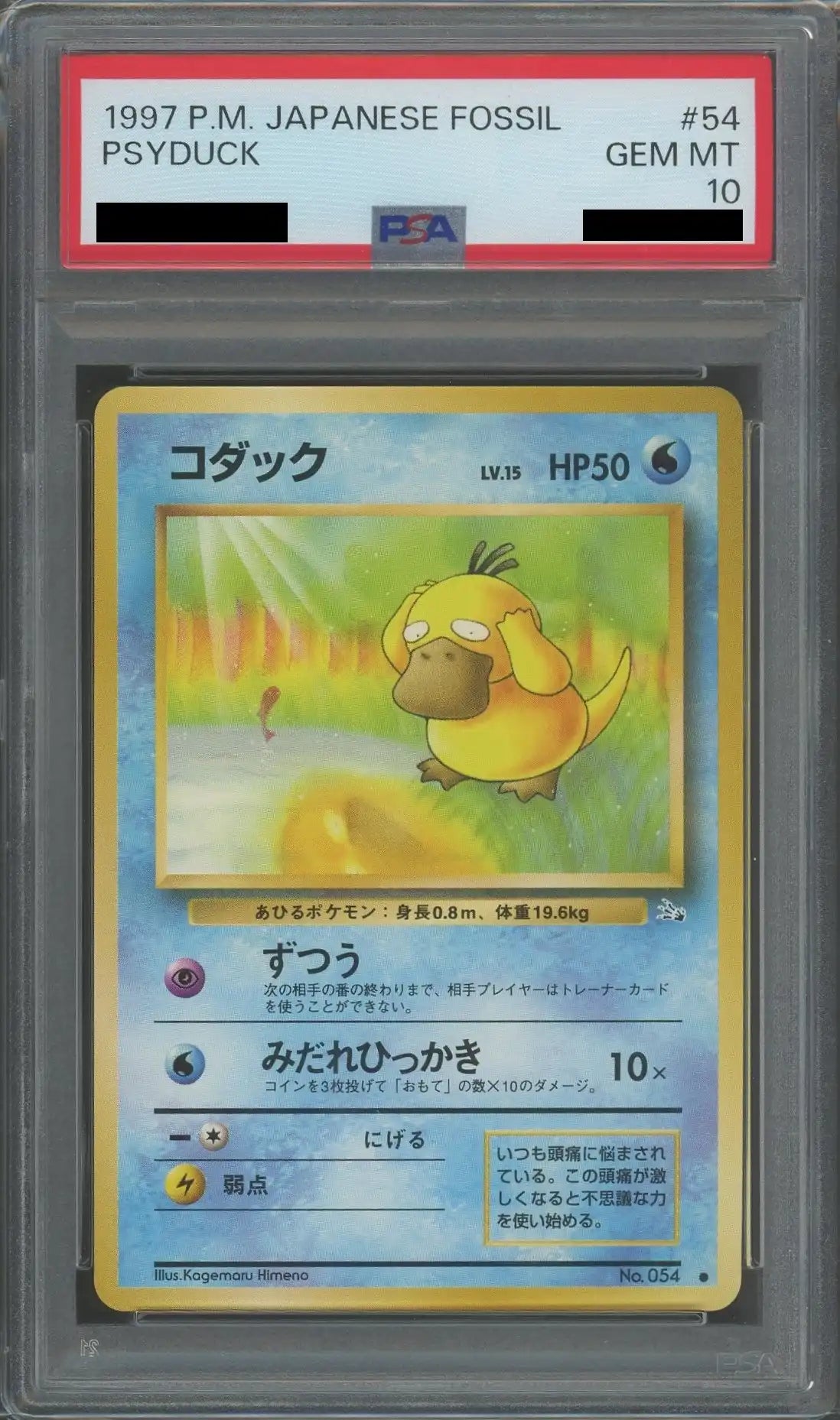 PSA10 コダック 1ED カードe 地図にない町 020 2002 PSA10 ポケカ PSA10 コダック 1ED カードe 地図にない町 020 2002 PSA10 ポケカ
