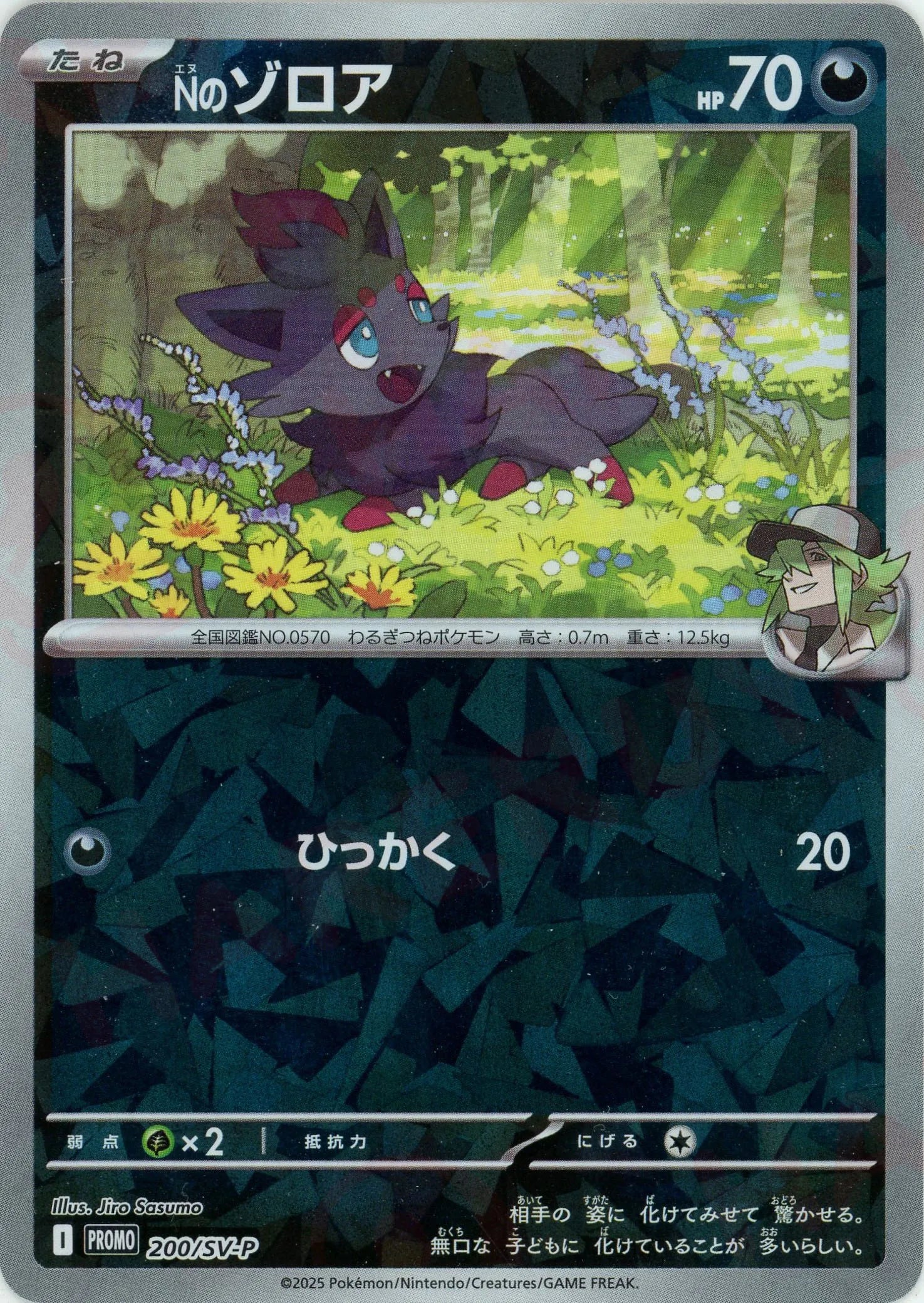 Nのゾロアークex 061/100 RR｜ポケカシングルカード通販｜Clove