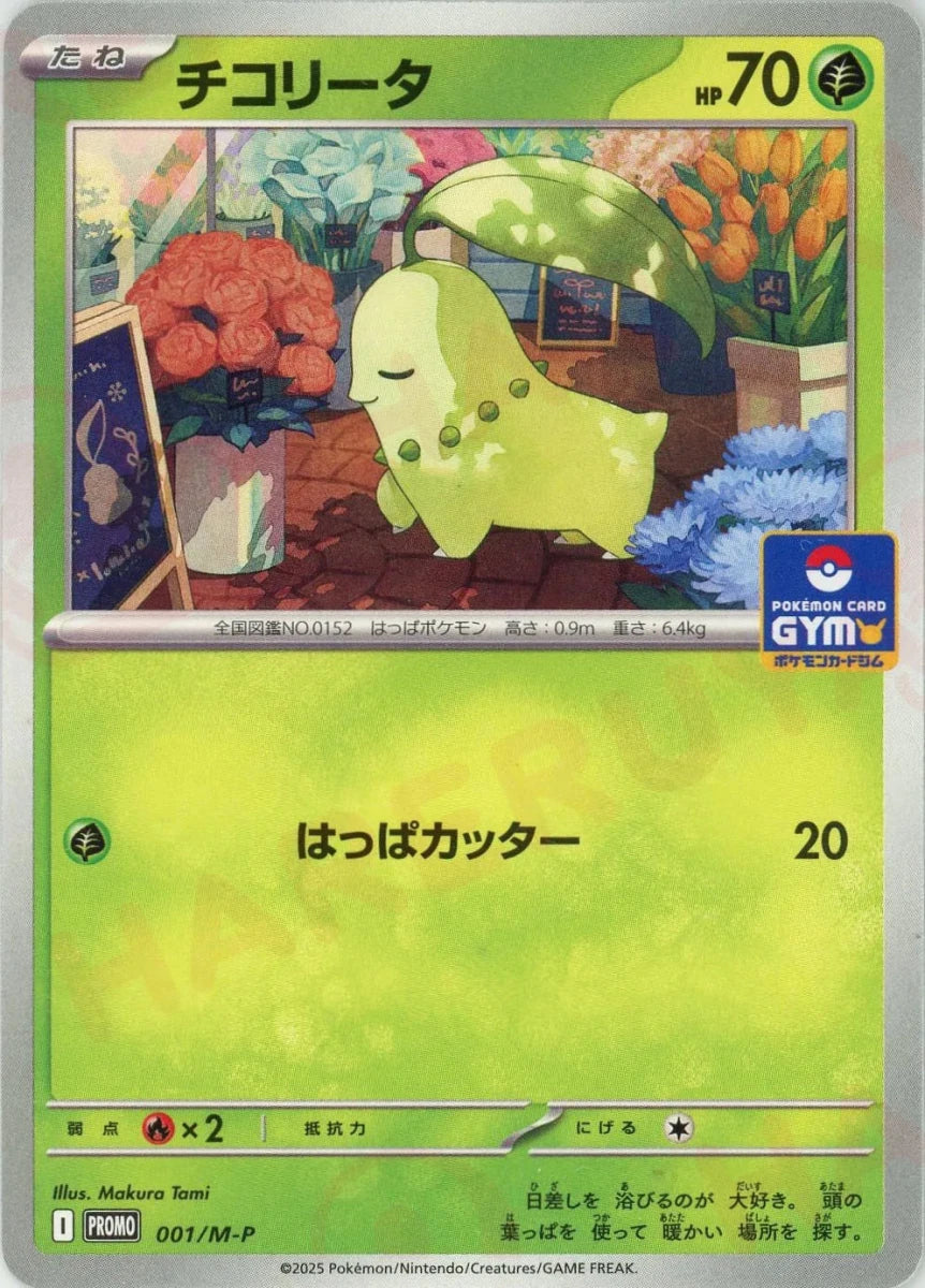チコリータ(PROMO){草}〈001/M-P〉[M-P] ｜販売‧買取｜ 晴れる屋2