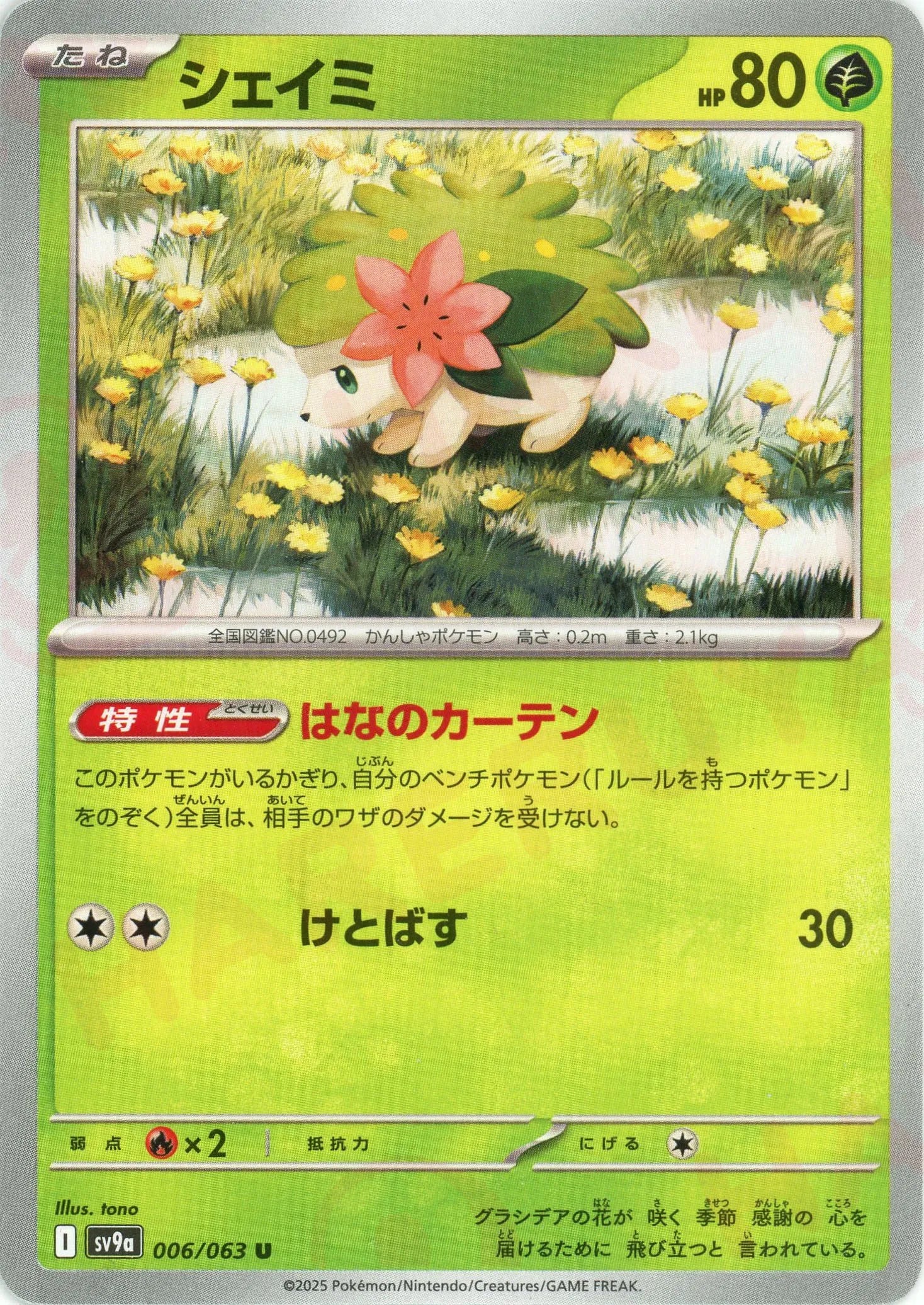 PSA10】シェイミ AR 066/063の通販 土日祝休@magi公式