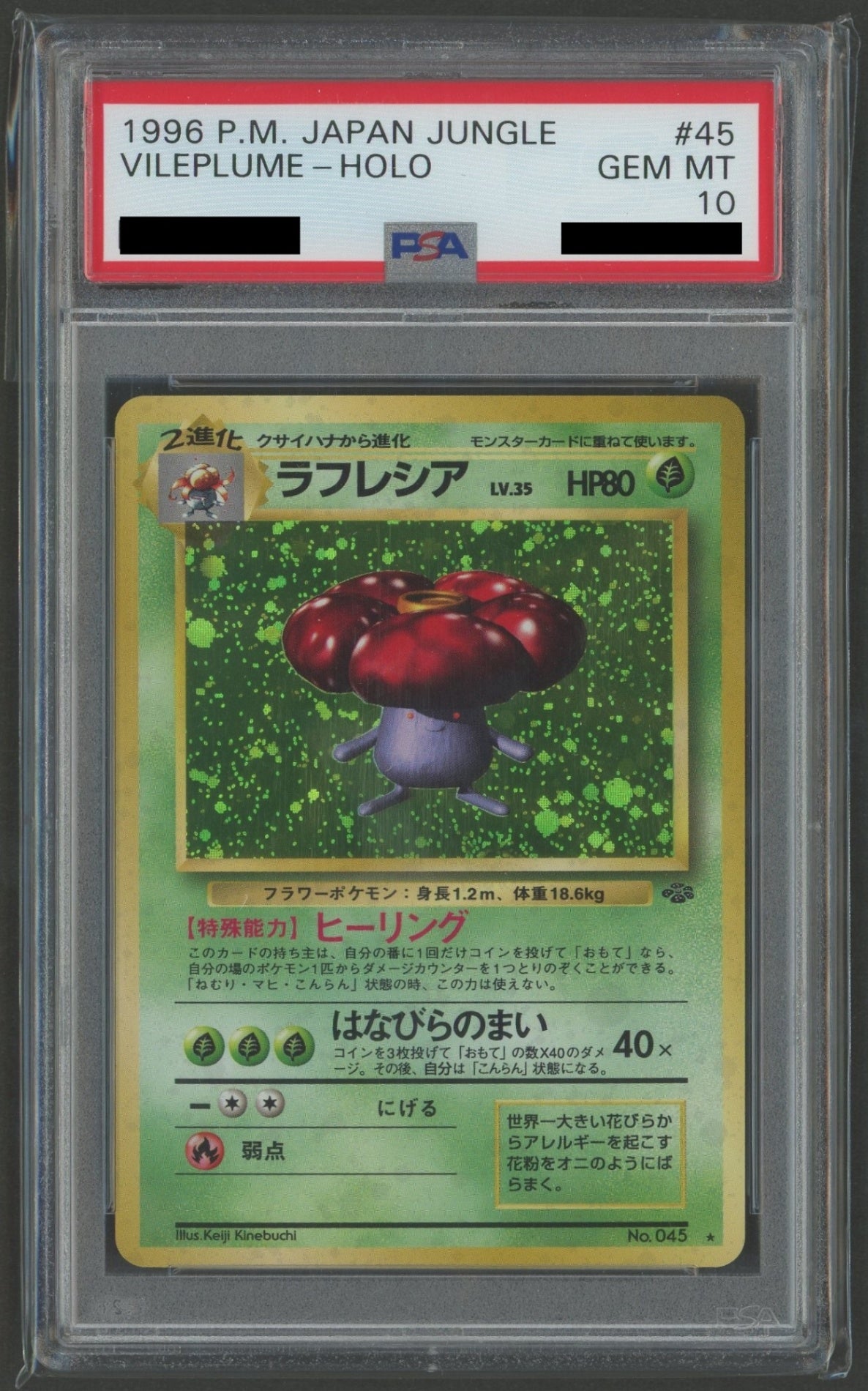 拡張パック第2弾「ポケモンジャングル」 PSA10 キラカード16種コンプセット#2262