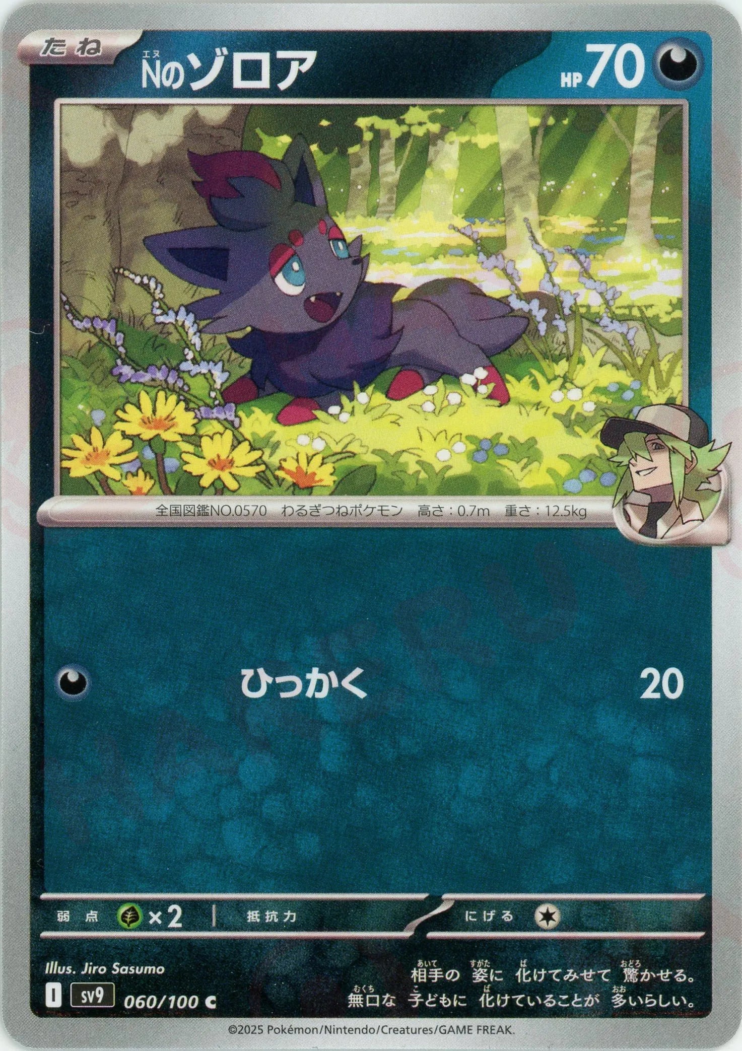 Nのゾロア(AR){悪}〈108/100〉[SV9] – 晴れる屋2