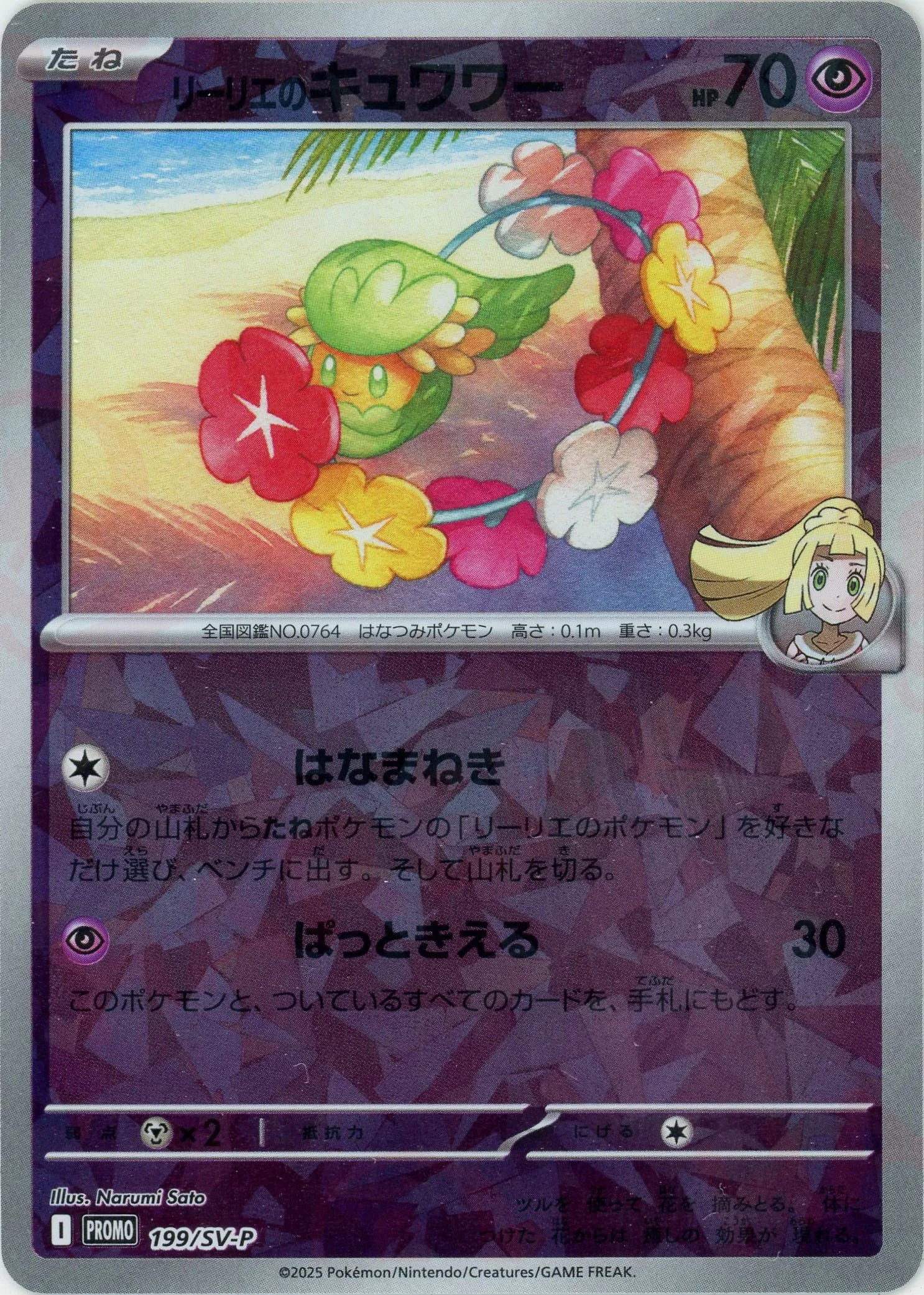 1スタ]ポケモンカード未開封プロモ Nのゾロア リーリエの