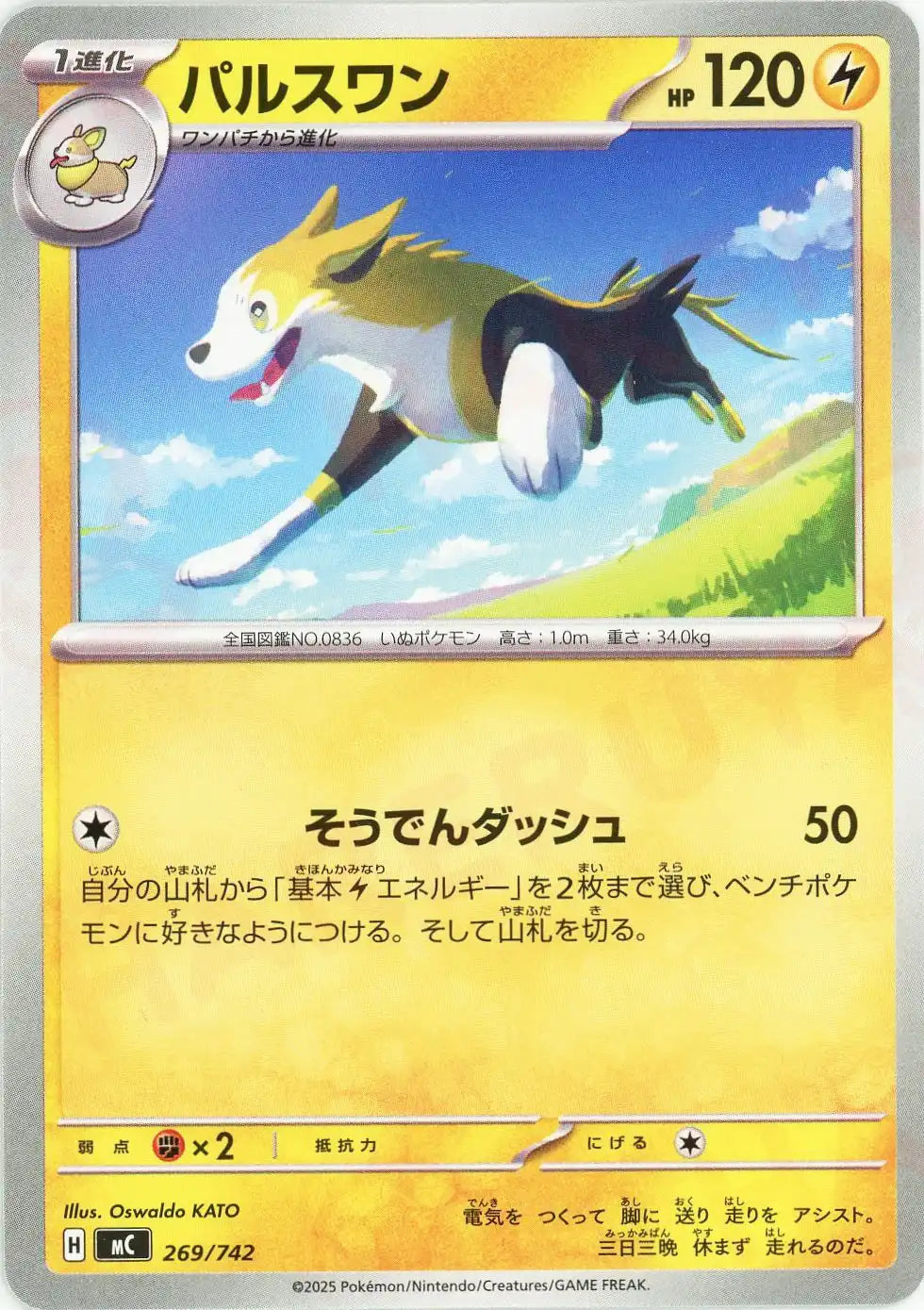 パルスワン(-){雷}〈269/742〉[MC] – 晴れる屋2