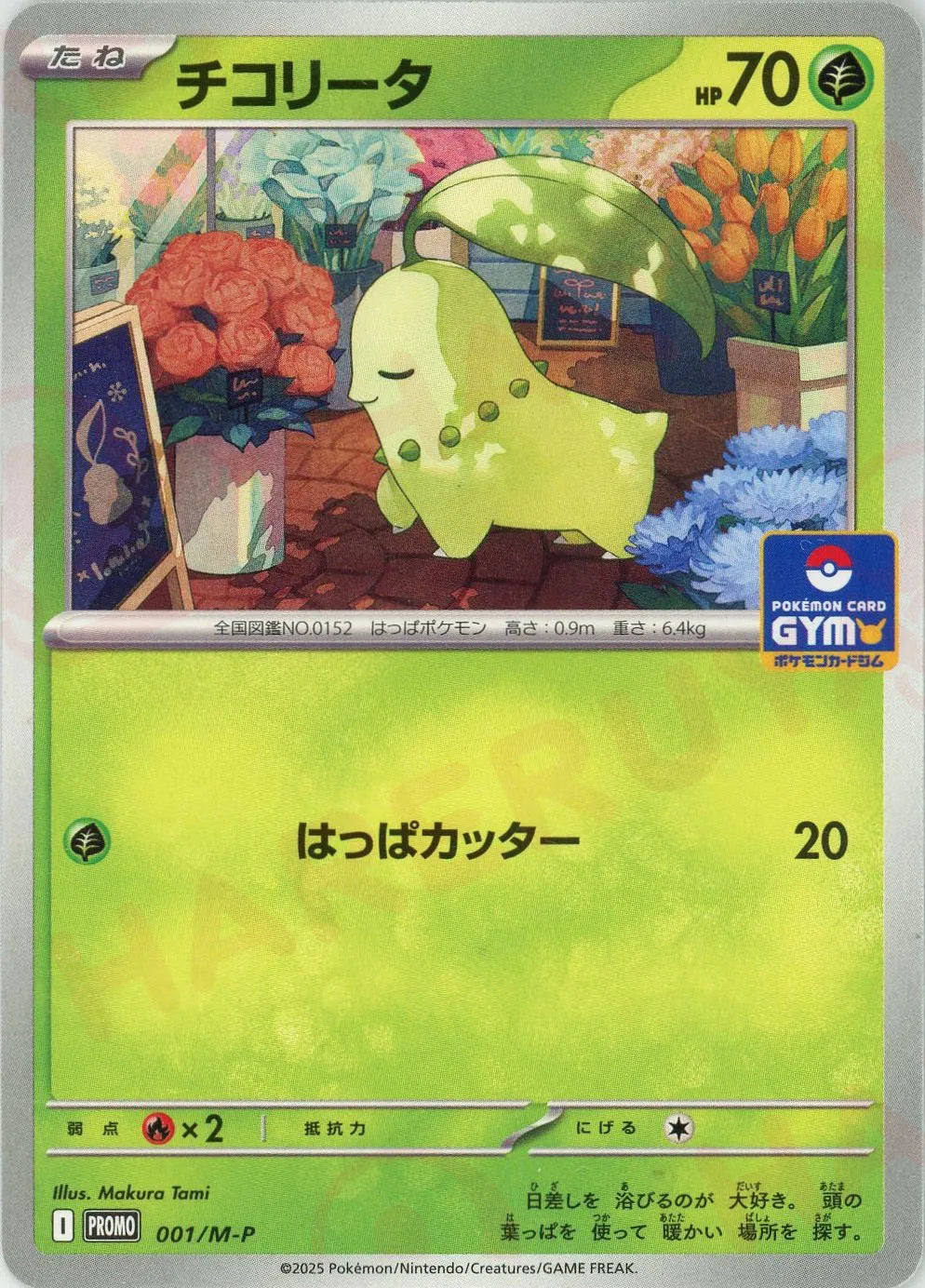 チコリータ HP50 & 草エネルギーカード セット チコリータ(PROMO){草}〈001/M-P〉[M-P] – 晴れる屋2