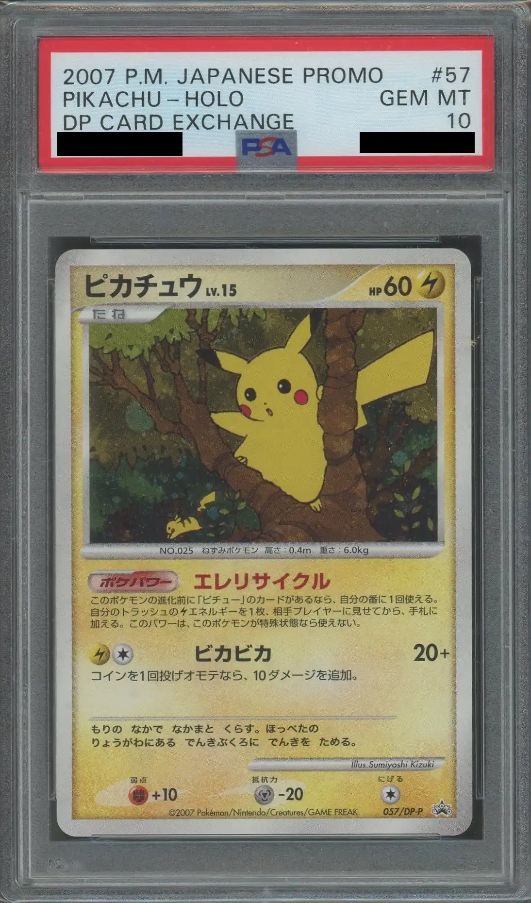 PSA10 ピカチュウ プロモ バトルロードサマー 057/DP エレリサイクル PSA10 ピカチュウ プロモ バトルロードサマー 057/DP エレリサイクル