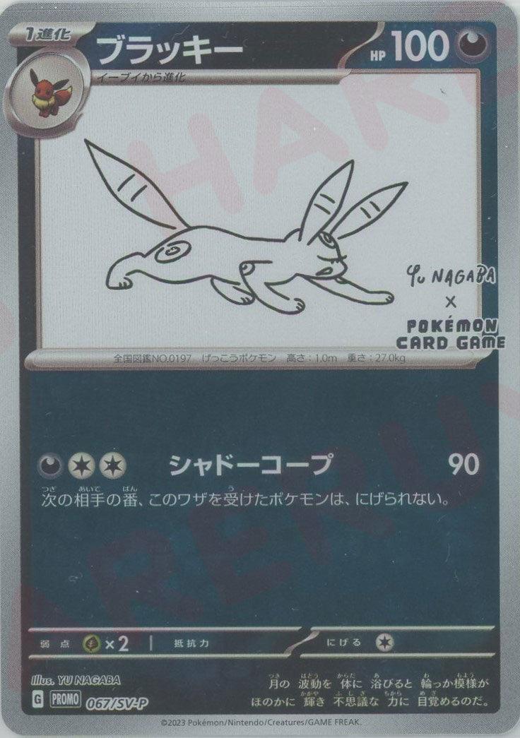 【WEB限定】 ブラッキー(PROMO){悪}〈067/SV-P〉[SV-P] 晴れる屋2 – ポケモンカードゲーム