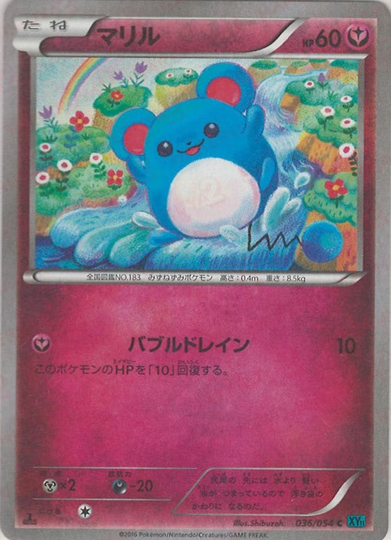 マリル(C){フェアリー}〈036/054〉[XY11-l] – 晴れる屋2