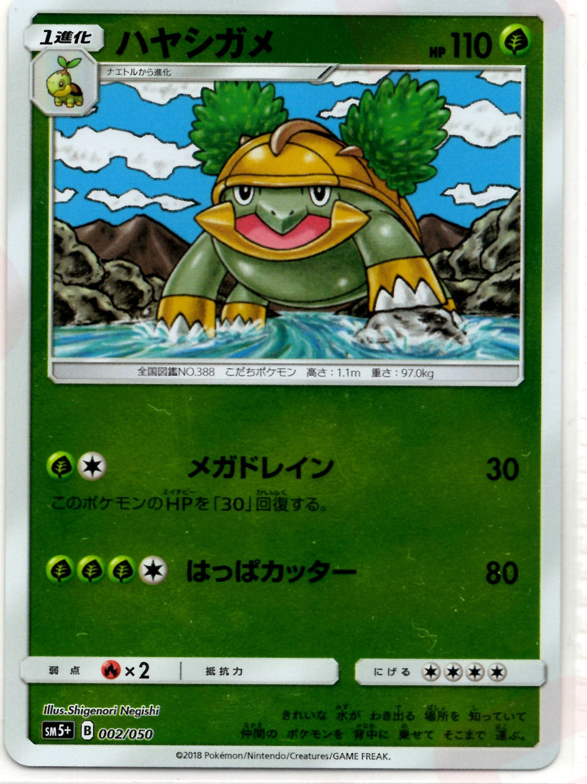 grotle pokemon card value Grotle(CP) {G}〈002/050〉[SM5p] – 晴れる屋2