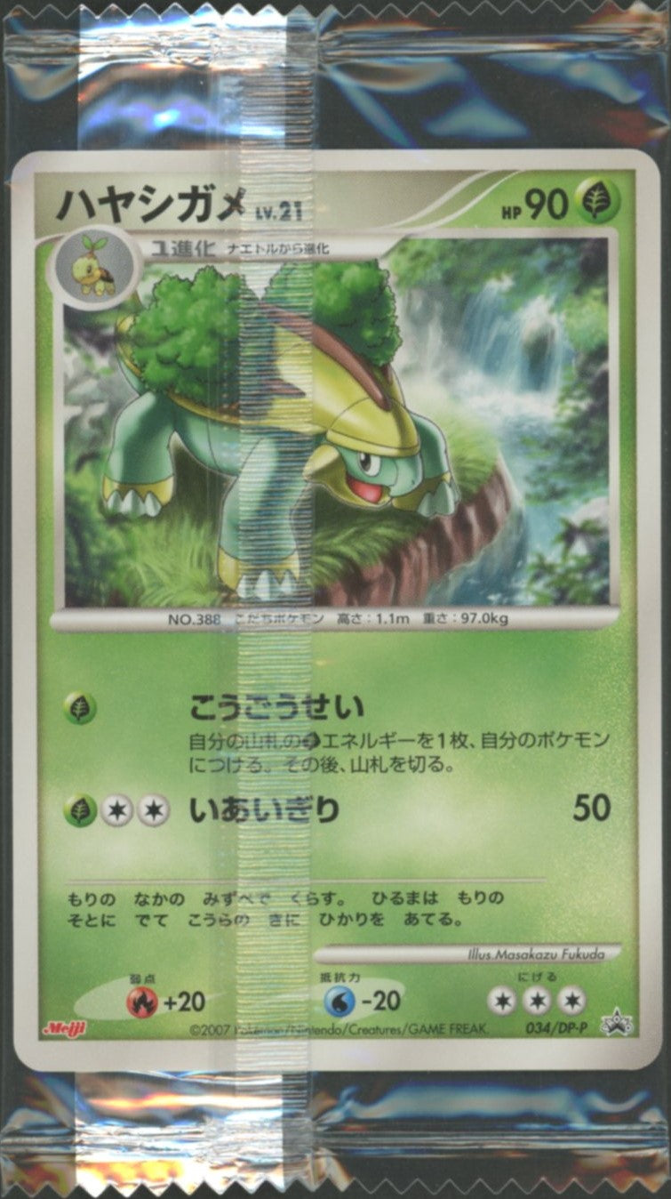 未開封プロモ】 ハヤシガメLV.21 034/DP-P – 晴れる屋2