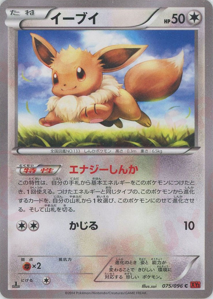 イーブイ(C){無}〈075/096〉[XY3] – 晴れる屋2