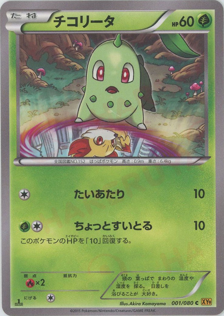 The Pokemon Weekly No,46「超ハード！チコリータの遠足」 ポケモンウィークリー No.46 チコリータ ワニノコ ヒノアラシ