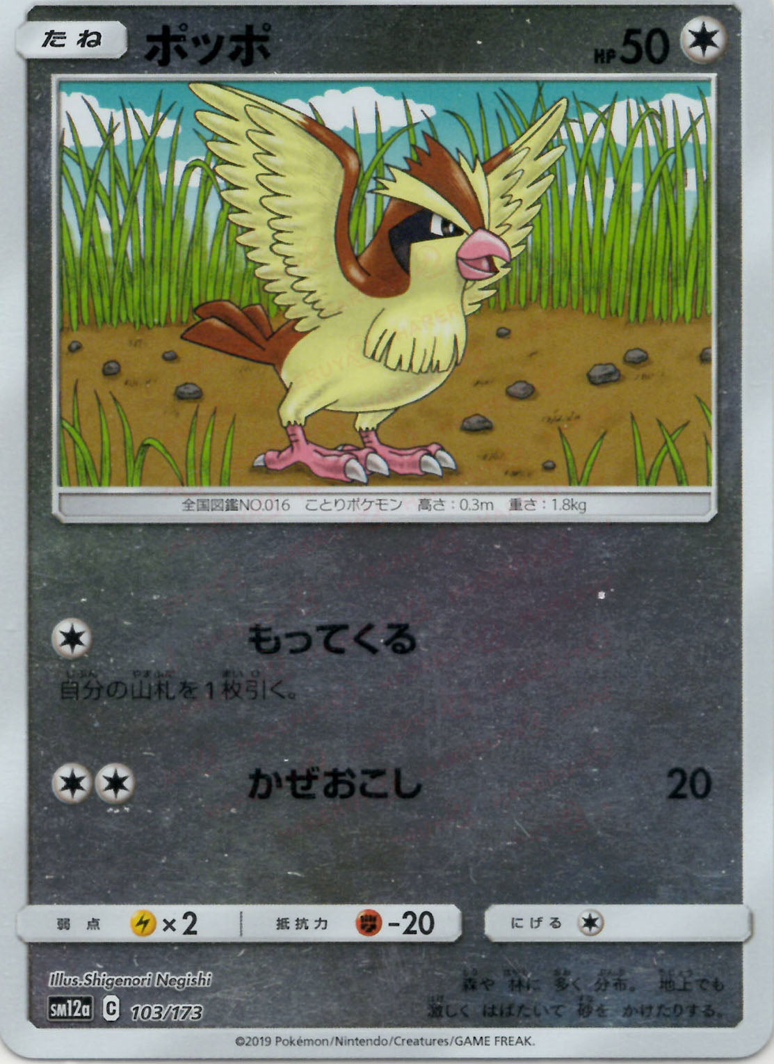 ポッポ:ミラー(CP){無}〈103/173〉[SM12a-M] – 晴れる屋2