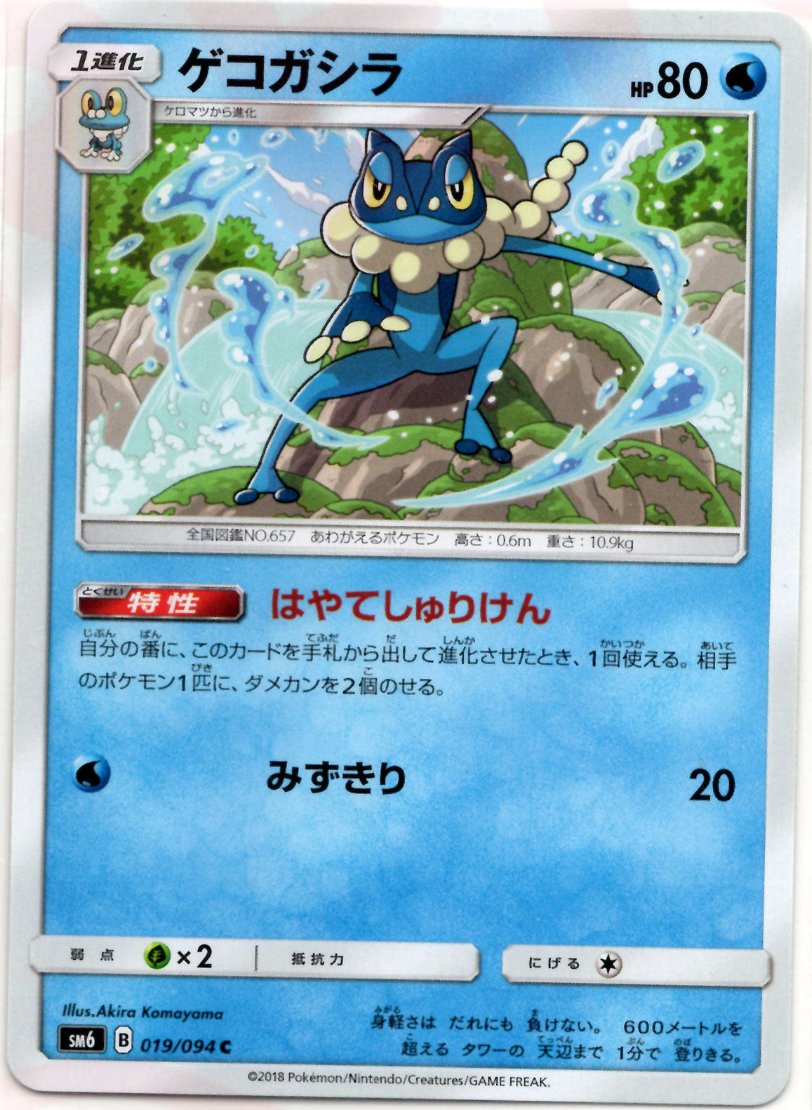 ゲコガシラ(C){水}〈019/094〉[SM6] ｜販売‧買取｜ 晴れる屋2