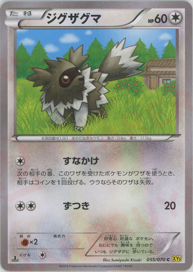 Zigzagoon (C) {C}055/070[XY5-y]  2