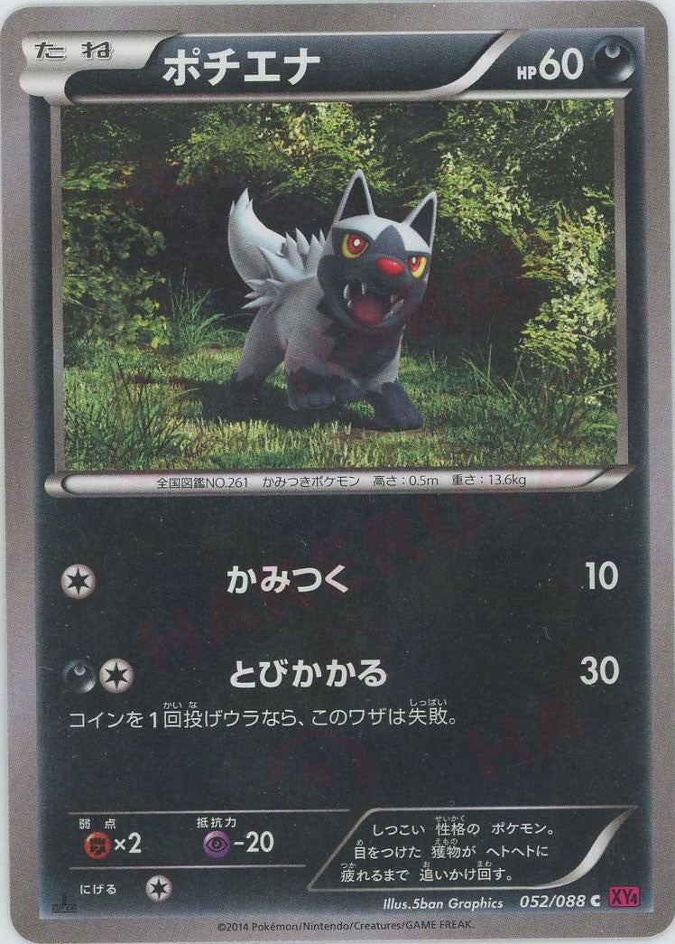 Poochyena (C) {D} <052/088> [XY4] – 晴れる屋2