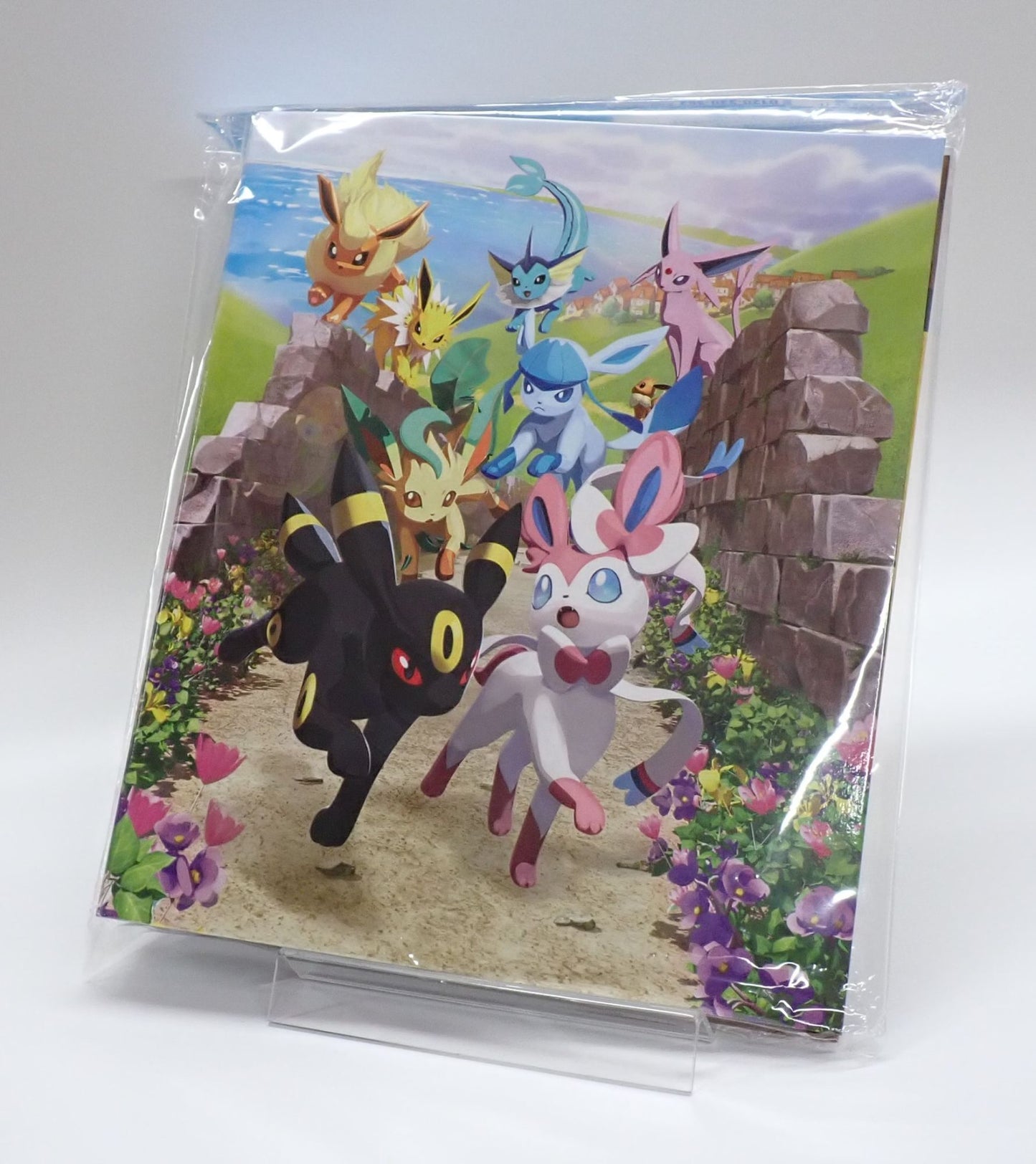 コレクションファイル イーブイヒーローズ