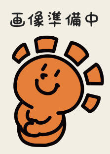 コレクションファイル メタモンといっしょ