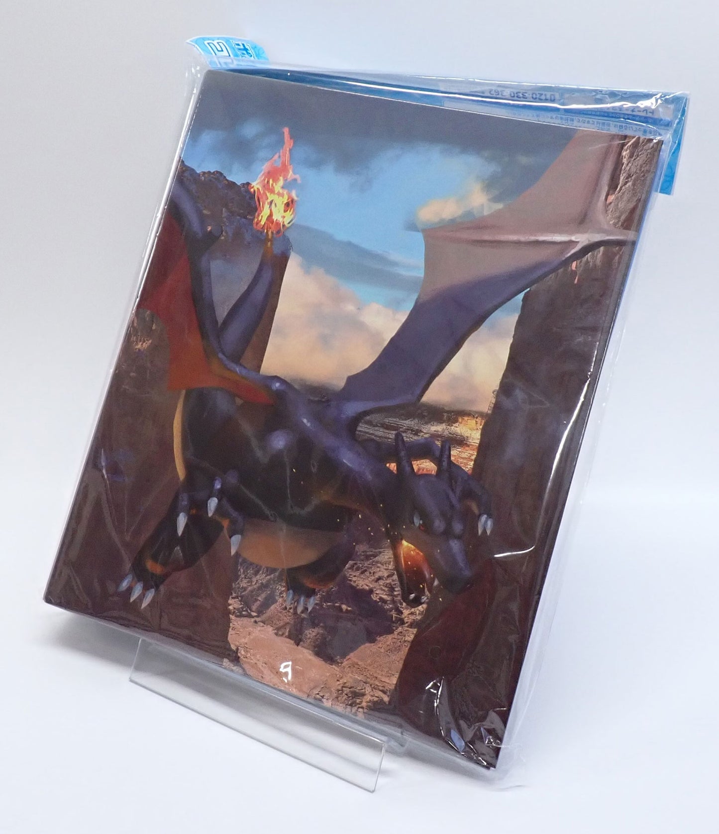 コレクションファイル 色違いのリザードン