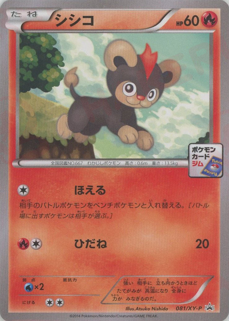 シシコ(PROMO){炎}〈081/XY-P〉[XY-P] ｜販売‧買取｜ 晴れる屋2