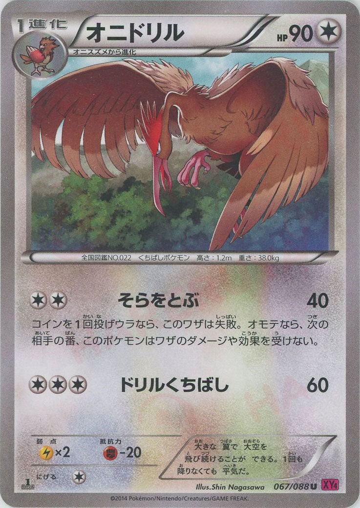 ハピナス/トゲチック/オニドリル ポケモンカードe ハヤトのピジョット トゲチック オニドリル VS eカード ポケモン