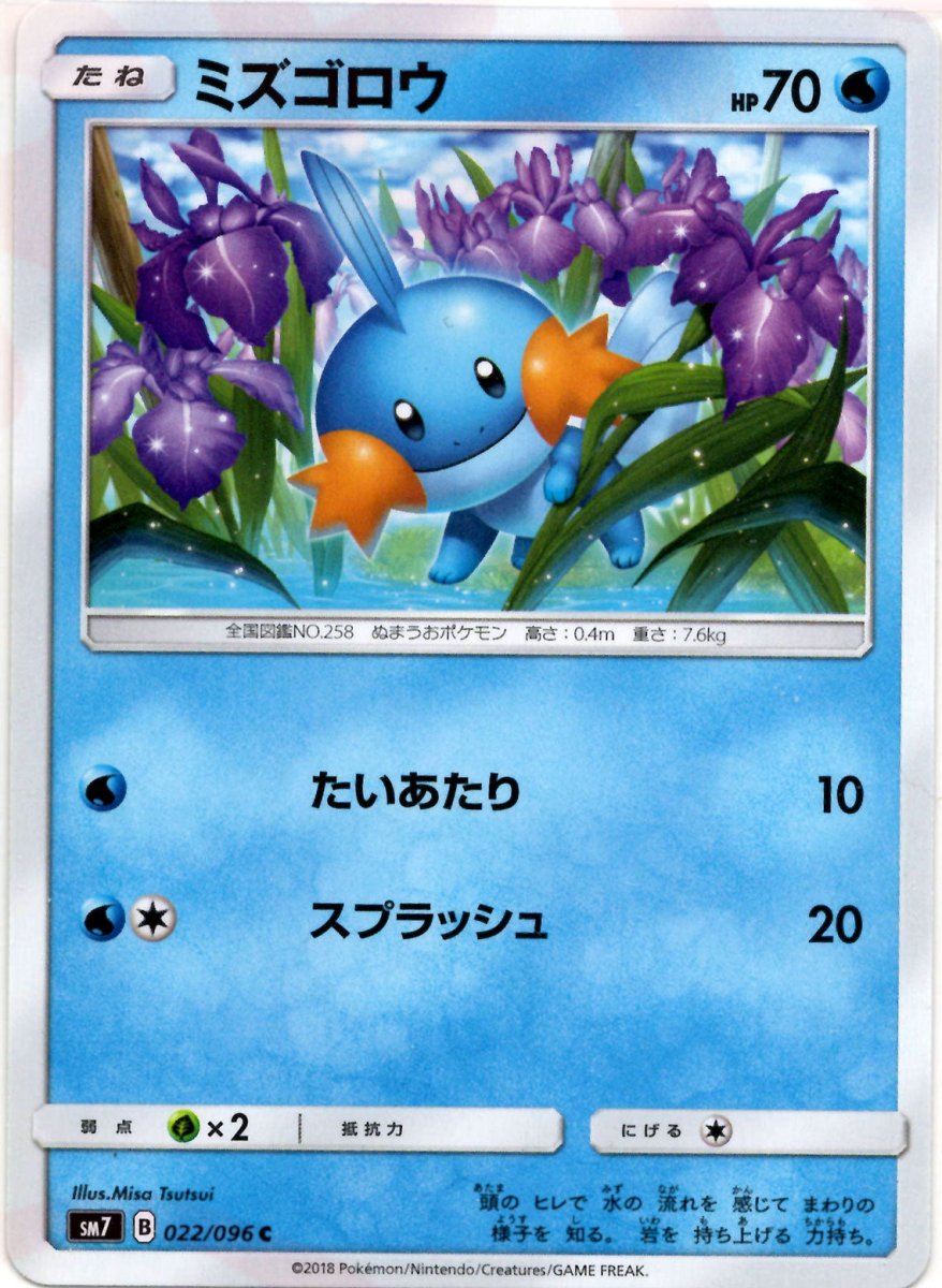 ミズゴロウ(C){水}〈022/096〉[SM7] ｜販売‧買取｜ 晴れる屋2