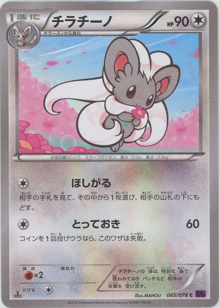 チラチーノ(C){無}〈065/078〉[XY10] ｜販売‧買取｜ 晴れる屋2