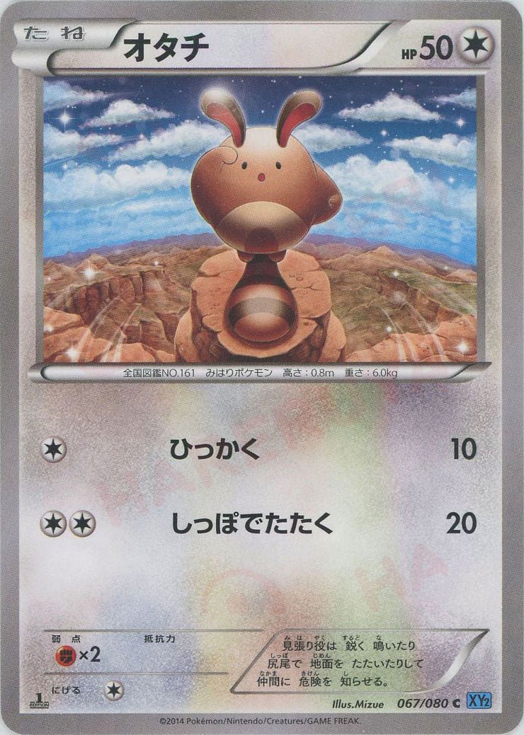 PSA10 オタチ C ワイルドブレイズ 067/080 ポケモンカード オタチ(C){無}〈067/080〉[XY2] ｜販売‧買取｜ 晴れる屋2