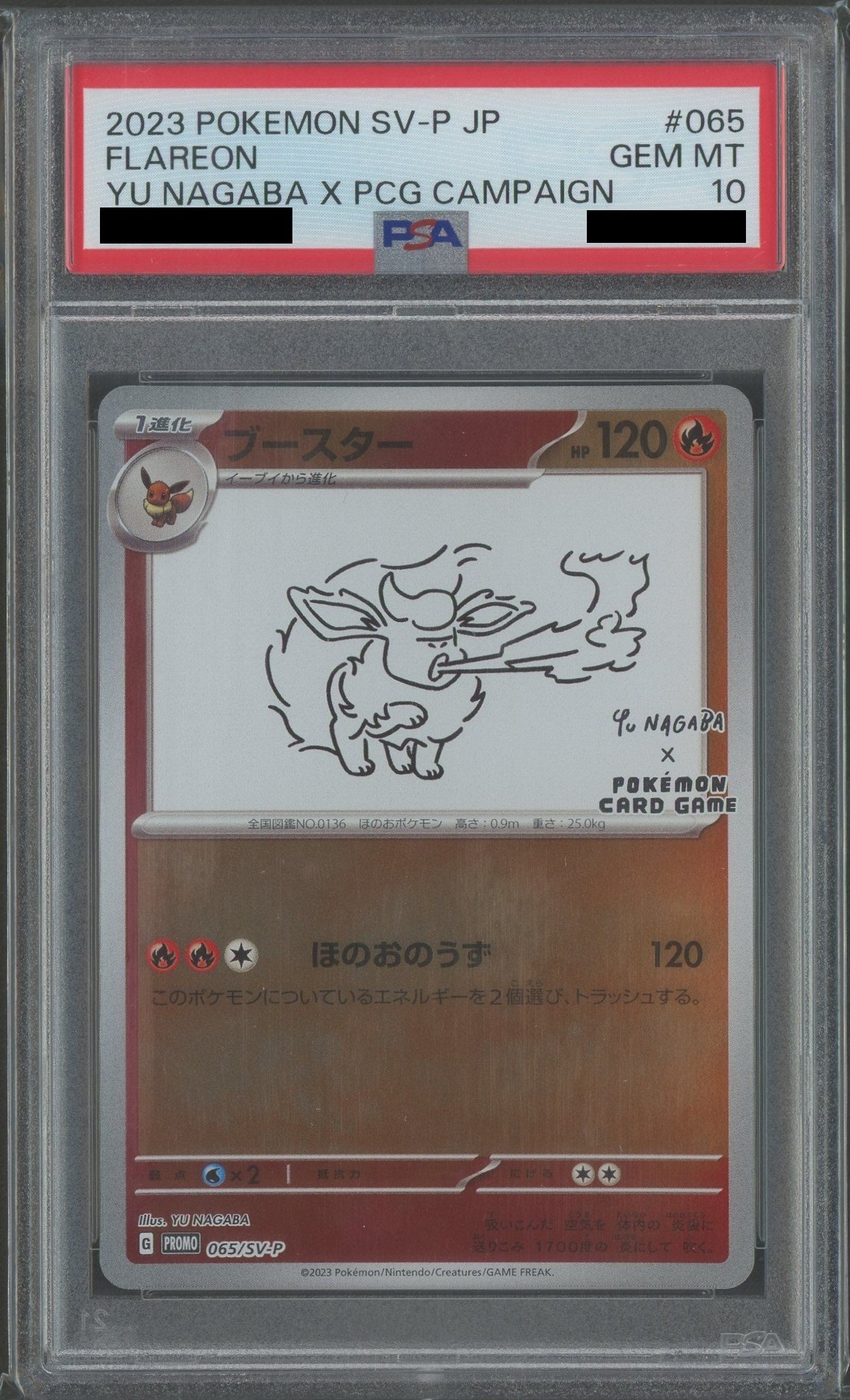ファッションアイテム人気ランキング PSA10】ブースター(PROMO){炎}〈065/SV-P〉[SV-P] – 晴れる屋2 ポケモンカードゲーム