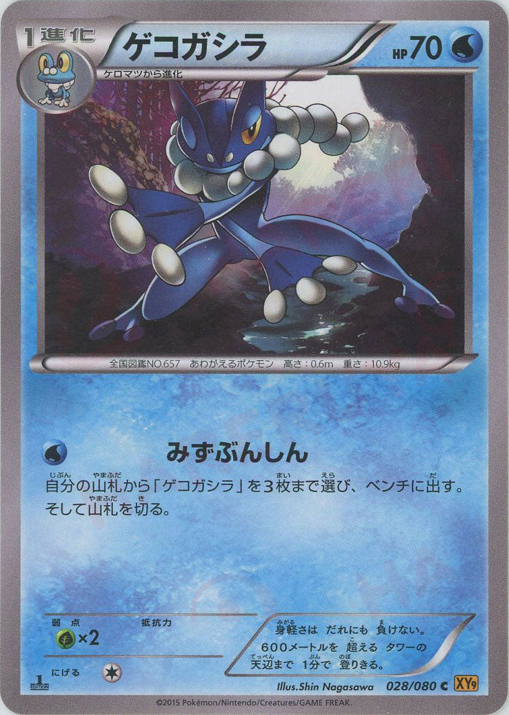 ゲコガシラ(C){水}〈028/080〉[XY9] – 晴れる屋2