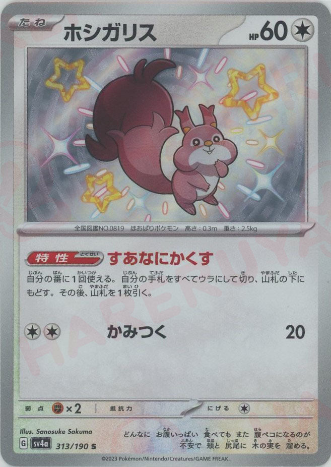 ヨクバリス ホシガリス ホシガリスの二の腕～ポケモン～様