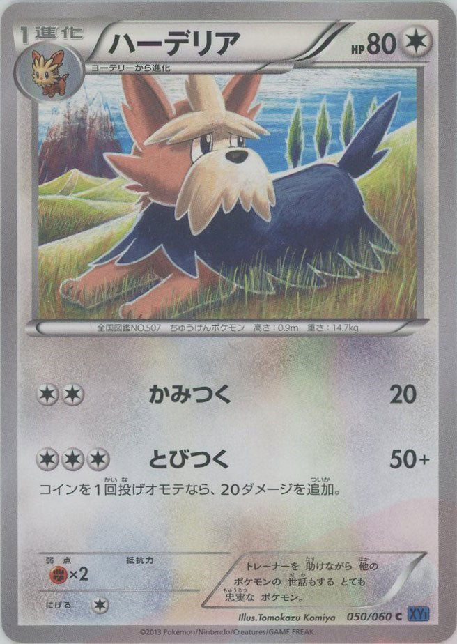 Herdier(C) {C} <050/060> [XY1-b] – 晴れる屋2