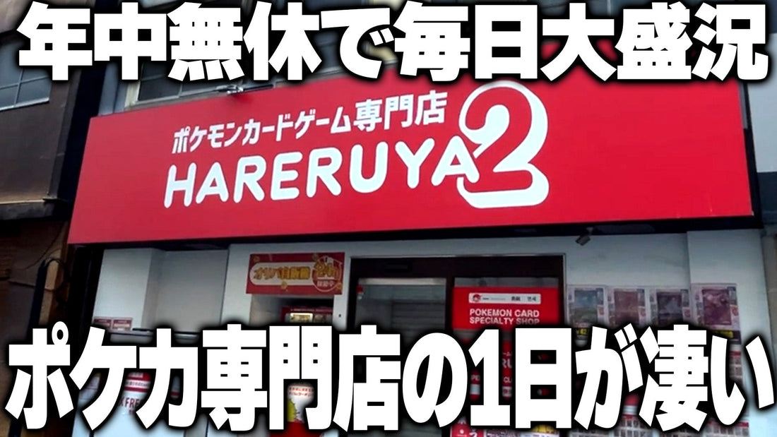 日本最大級のポケカ専門店"晴れる屋2"の一日に密着