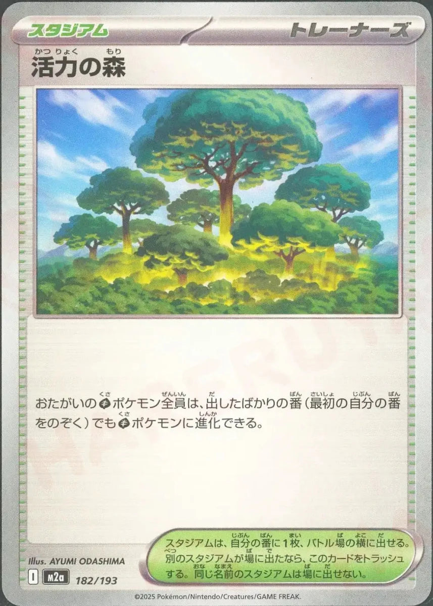 活力の森(-){スタジアム}〈182/193〉[M2a] - 晴れる屋2