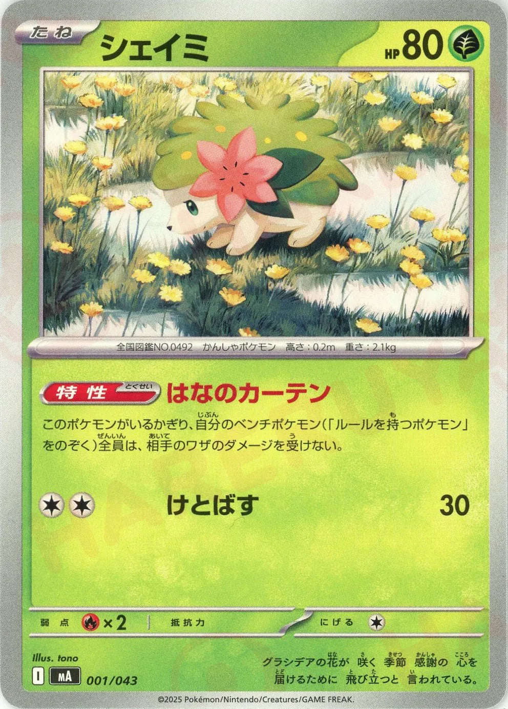 プレミアムトレーナーボックス　２つ プレミアムトレーナーボックス VSTAR | ポケモンカードゲーム