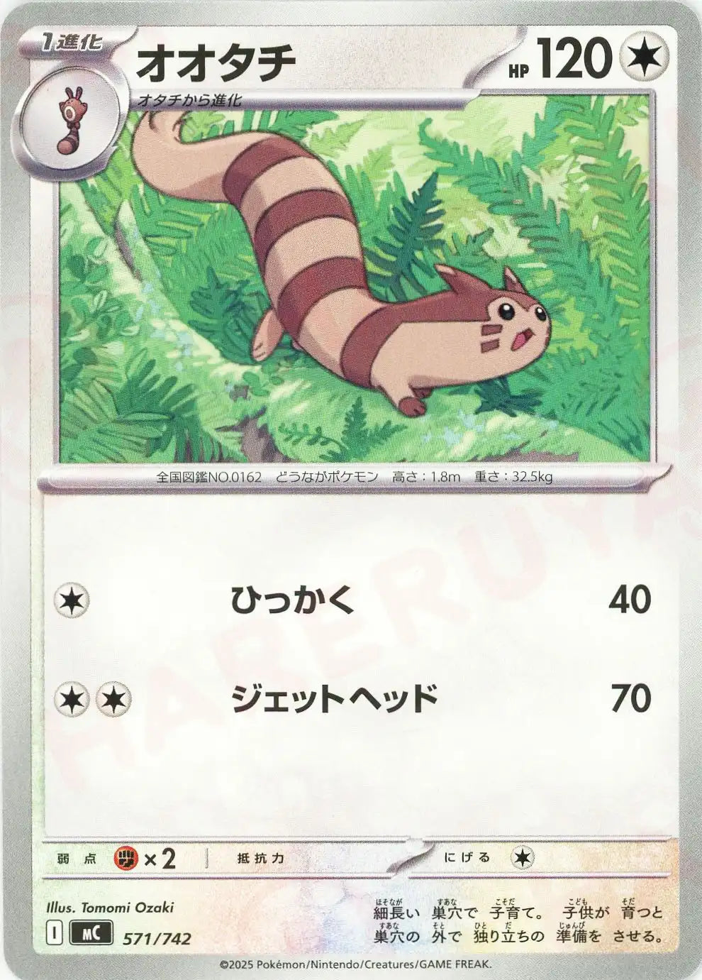 オオタチ(-){無}〈571/742〉[MC]